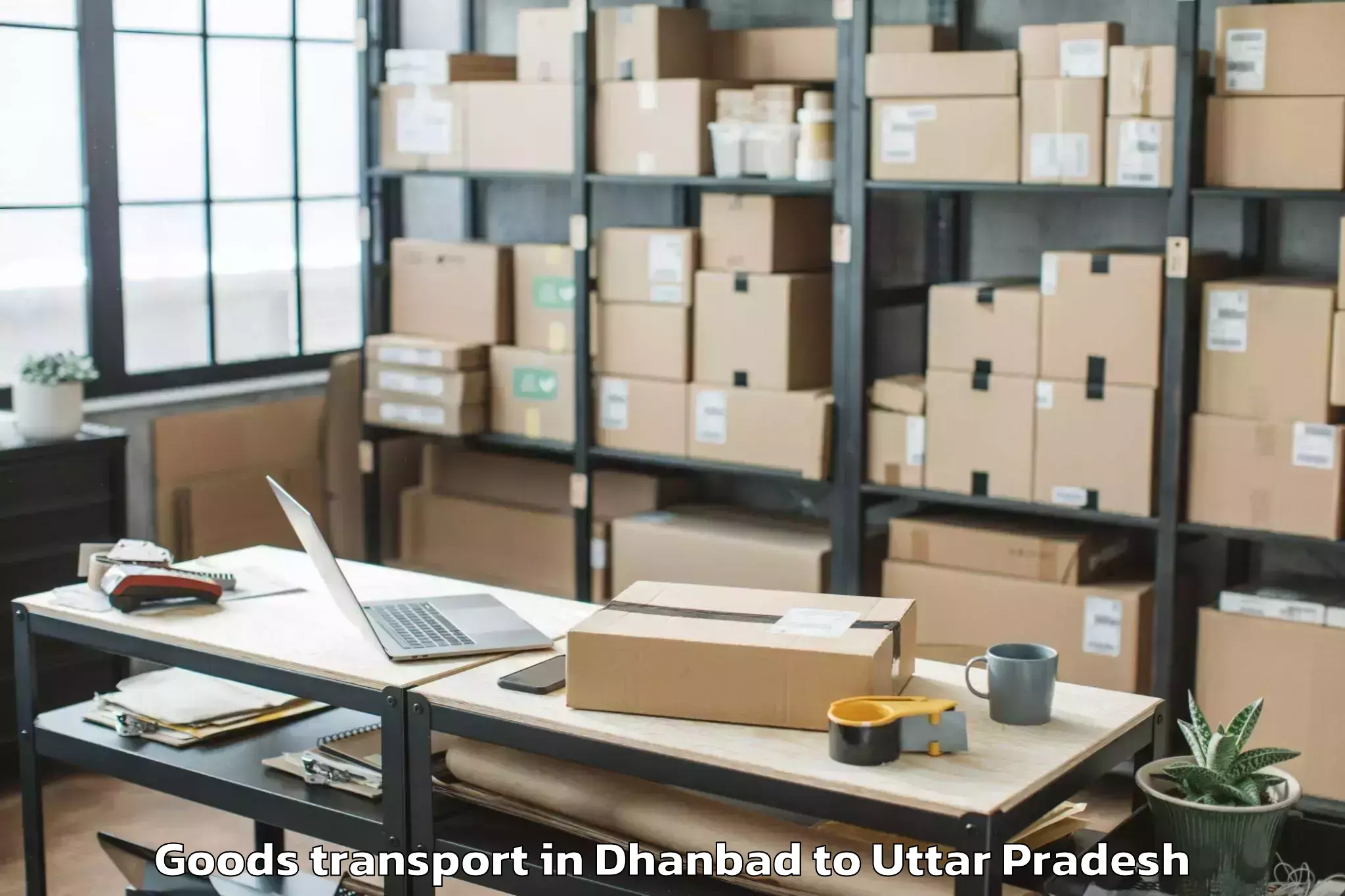 Efficient Dhanbad to Ramsanehighat Goods Transport